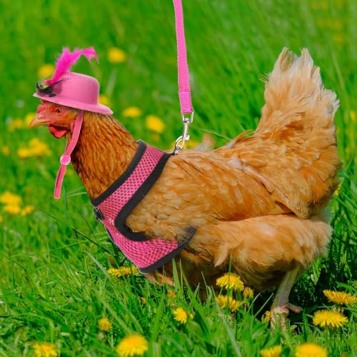 Zhanmai 9 Pcs Chicken Harness and Leash for Hens Funny Chicken Accessories with Leash and Hats for Hens Duck Goose Parrot Small Pet Harness Adjustable Training Walking Supplies (L) - size: L