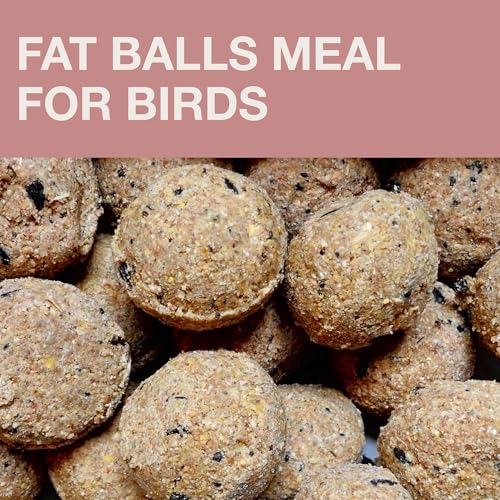 SWISSINNO Bird Feeders - No Mess Fat Ball/Suet Feeder for Outdoors Hanging - Smart Birds Lucerne Spill Proof Wild Cardinal Bird Feeder with Integrated Seed Catcher Tray - Dusty Rose - color: Dusty Rose, style: Lucerne