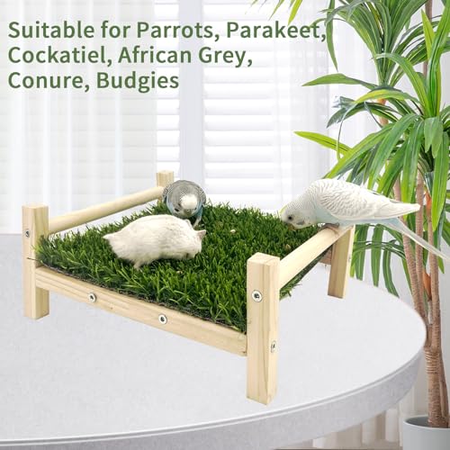 FlidRunest Bird Foraging Bed, Parrot Hammock Bed, Parrot Grass Perch Bed, Bird Perch Conure Platform Grass Forage Toy for Parakeet, Cockatiel, Lovebird, Budgie