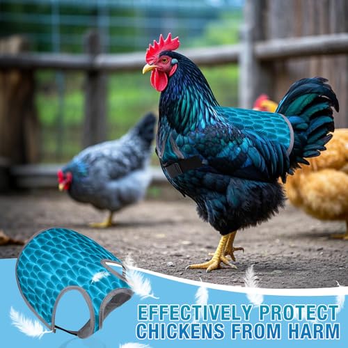 Chicken Saddle for Hens - Chicken Aprons for Hens With Adjustable Straps, Chicken Aprons & Vest Jacket for Hens - style: Blue Feather