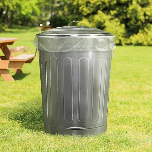 Plexon 13 Gallon Outdoor Metal Trash Can with Lid Vintage Trash Can Steel Retro Garbage Can for Patio Farmhouse Rustic Bird Seed Storage Pet Food Ash Bucket, Galvanized Steel - color: Silver