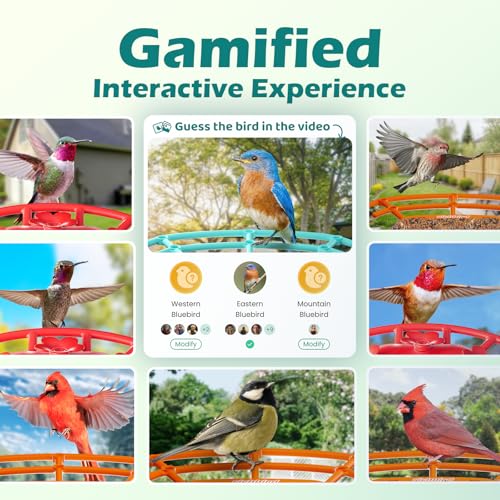 Smart Bird Feeder with Camera Solar Powered, Auto Record 2K HD Videos | AI Bird Identification & Instant Alerts, Birdwatching Live, Outdoor Birdhouse with Cam, for Mom/Dad/Birdlovers, Light Blue - color: Blue