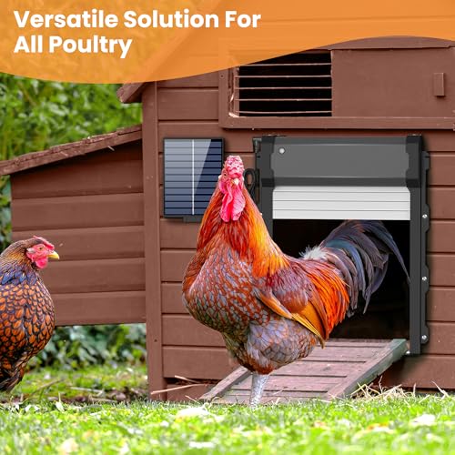 Automatic Chicken Coop Door with Timer & Light Sensor, Chicken coop Door Solar Powered Door with Remote Control & Anti-Pinch，External Power Supply Connection, Outdoor Electric Chicken coop Door