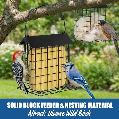 2Pcs Crow Blue Jay Peanut Feeder: Suet Cake & Bird Nesting Material Holder | Outdoor Hanging Bird Feeder Cage with Weatherproof Roof & Perch Fits Woodpecker Cardinal Mourning Dove Oriole, Blue Grosbeak - color: 2pcs black