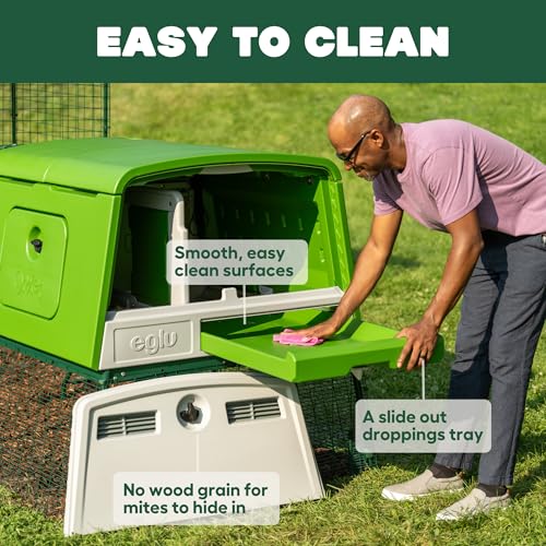 Omlet Eglu Cube Large Chicken Coop | Easy to Clean Plastic Chicken Tractor | The Most Secure Hen House for Complete Peace of Mind | Weatherproof Cool in Summer and Warm in Winter | Green