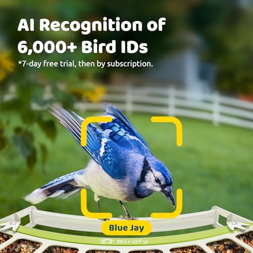 Metal Smart Bird Feeder with Camera Solar Powered, 1080P HD - style: AI (7-Day Trial)