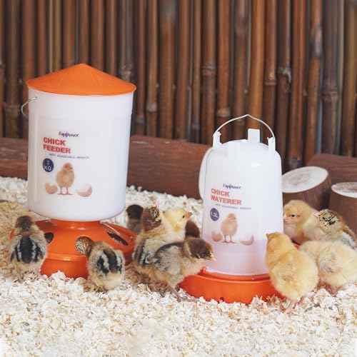 Eggluuz Chick Feeder and Waterer Set, Top Fill 3kg Chick Feeder and 1.5L Chick Waterer with 3 Adjustable Heights