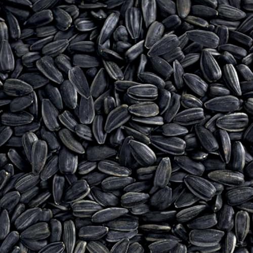 Happy Wings Thistle Seed & Sunflower Seeds Bird Food Combo, 5 LB x 2 Pack | Oil Rich, High Fat & Energy Content, Single Grain, USDA & BRC-GS Approved, Finches, Sparrows, Chickadees, Cardinals, No Mess - size: 5 lb Thistle/Sunflower Seed Combo