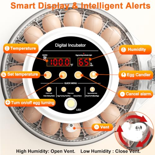Upgraded Egg Incubators for Hatching Eggs, 22 Egg Incubator with Automatic Egg Turning, Temperature Control & Humidity Display, LED Candler, Incubator for Chicken, Duck, Quail Eggs - size: 22 EGGS