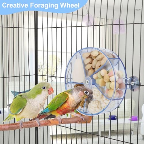 Bird Creative Foraging System Wheel Seed Food Ball Rotate Training Toy for Small and Medium Parrots Parakeet Cockatiel Conure (Clear Blue) - color: Clear blue