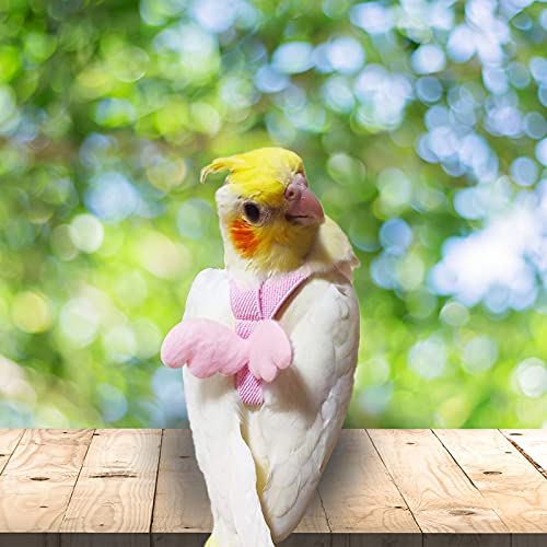 Dnoifne Parrot Harness and Leash, Adjustable Training Design Anti-Bite, Nylon Rope with Cute Wing for Parrots, Suitable for Alexandrine, Scarlet, Keck, Mini Macaw & Same Size Bird (pink) - color: pink