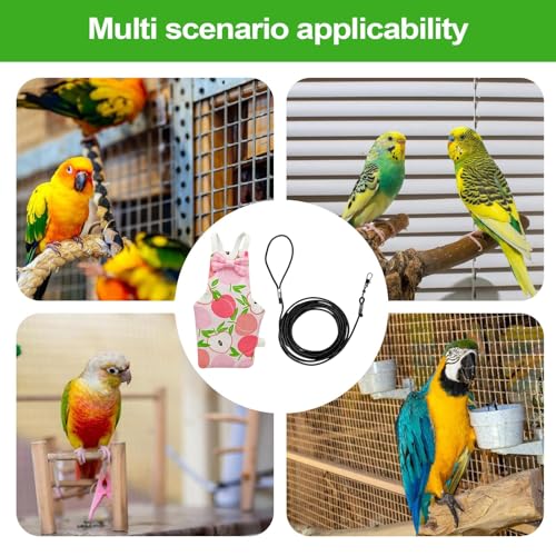 Bird Flying Suit Reusable Washable Pet Parrot Suit | Bird Traction Rope for Macaws Sparrow Parakeet Lovebird Conures Cockatiels - color: apple