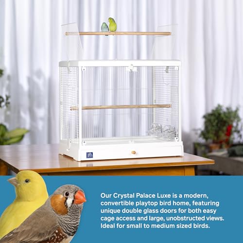 Prevue Pet Products Clear View Glass Standing Bird Cage - White | Ideal for Small Birds like Parakeets, Budgies, Finches, Cockatiel, & Lovebirds, Stand-Alone Birdcage - size: 24.5"L x 16.5"W x 21.7"H