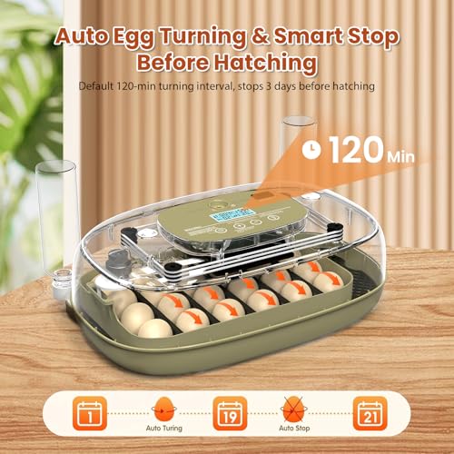 24 Egg Incubator with Humidity Display & Candler, Automatic Adjustable Turner, Temp & Humidity Control, Auto Water Refill – Large Capacity Hatcher for Chicken, Duck, Goose, Turkey, Quail - color: Brown, size: 24 Egg
