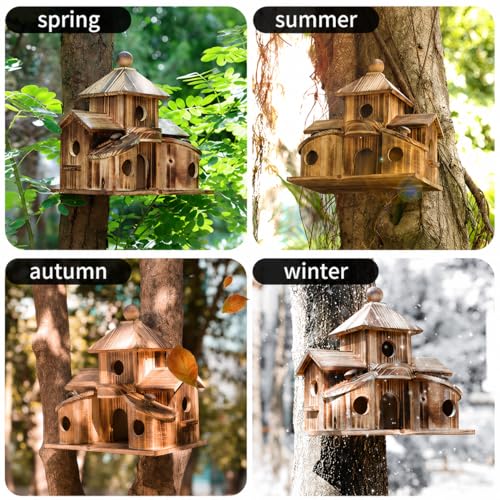 Bird Houses for Outside, 6-Hole Multi-Chamber Birdhouse for Small Birds | Cedar Wood Nesting Box, 1.22" Entrance Hole Fits Wrens & Chickadees, 11.02 x 7.08 x 9.25" Size, Garden & Backyard Placement