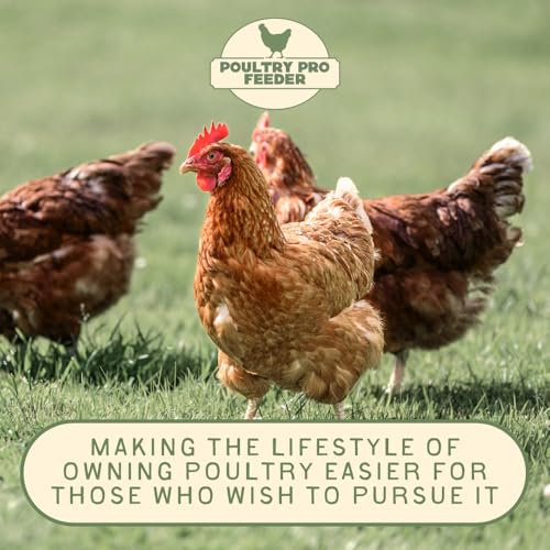 Poultry Pro DIY Chicken Feeder Kit, Poultry Feed, Weatherproof, 1 Port | As Seen on Shark Tank, Single Port, Gravity Fed Chicken Feeder, for Buckets, Bins & Troughs (Bucket & Hole Saw Not Included) - style: Original Feeder 1 Pack