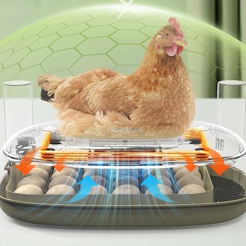 Smart Egg Incubator with Automatic Egg Turner & Built-in Candler, Stable Temperature Control, for Hatching Chicken Quail Duck Goose Eggs, 24 Eggs Capacity, External Water Refill