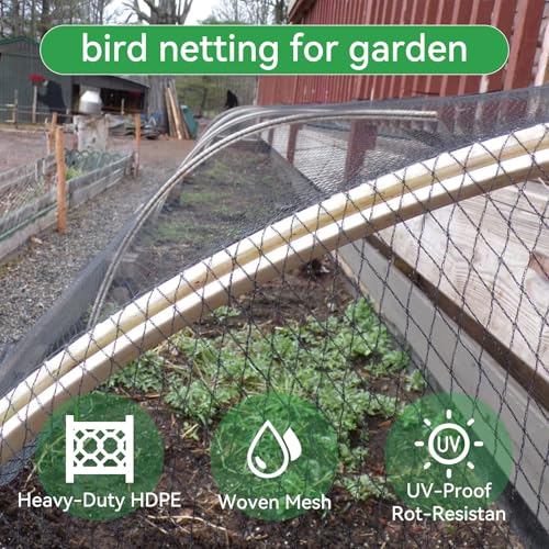 Bird Netting 20x20 FT 1/2 Inch Mesh Heavy Duty Woven Mesh Netting | Heavy duty woven mesh protects fruit trees, berries and gardens from birds & small animals with UV-resistant durability - size: 20x20Ft-0.5"