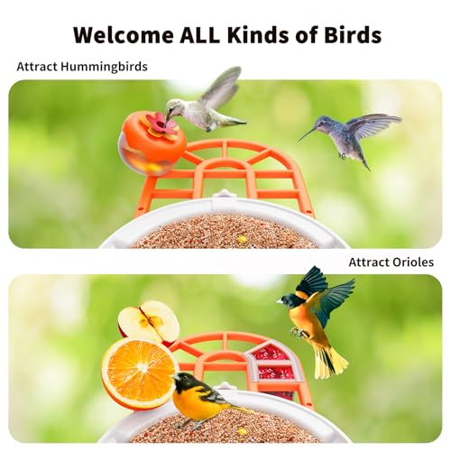 Bird Feeder with Camera | AI Identify Birds Species, Solar Powered, Smart Bird House with Cam, 2K HD Video Live Stream, Instant Arrival Alerts - Orange - color: Orange