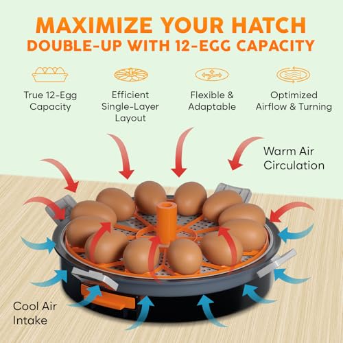 12 Egg Incubator with Automatic Egg Turning and Humidity Control – Temperature Adjustment – incubators for hatching eggs – Built-in Egg Candler – Incubadora de Huevos de Gallina – Easy to Use