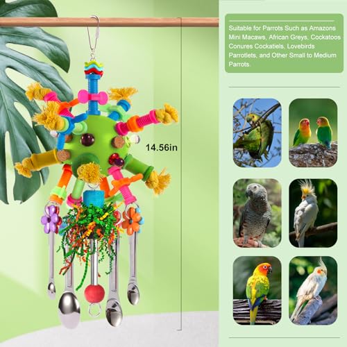 Parrot Toys Bird Toys Perch Pullable Stainless Steel Spoons Colorful Acrylic Stick Chew Toys for Amazons Mini Macaws African Greys Cockatoos Conures,Cockatiels,Lovebirds,Parrotlets and Other (green) - color: green
