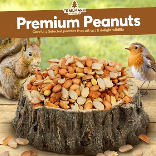 11 LB - Raw Shelled Peanuts for Squirrels, Out of Shell Peanuts for Birds and Wildlife- Squirrel Food, Wild Bird Seed - Grown in The USA