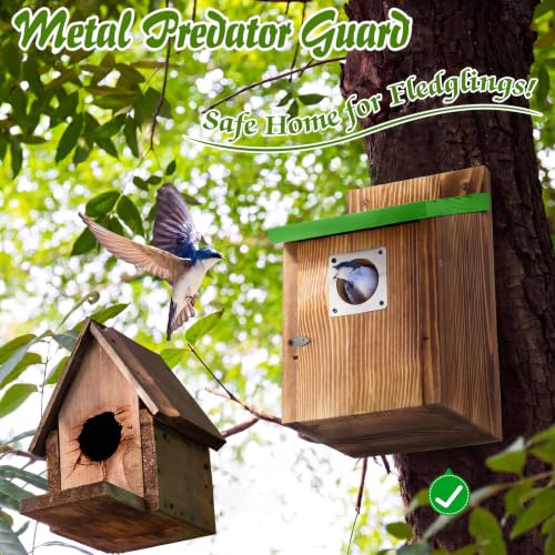Dreyoo 4 Pack Bluebird Houses for Outside with Metal Predator Guard, 1-1/2" Entrance Hole Wooden Blue Bird Houses for Outdoors, Bluebird Nesting Box (Green Roof, Burnt Wood Body) - color: Green Roof, Burnt Wood Body