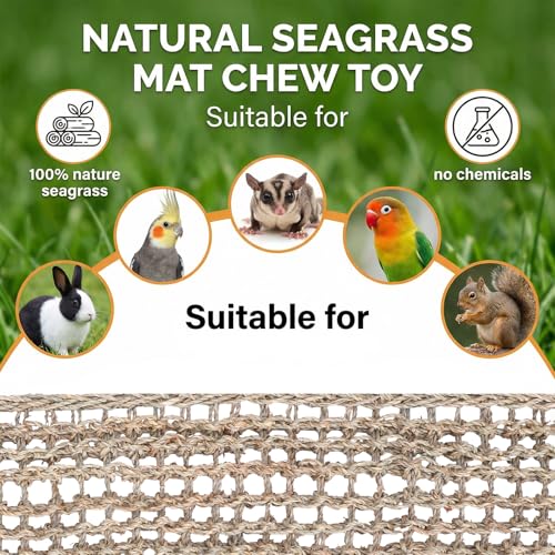 39 x 7.5 Inches Seagrass Mat Natural Woven Net Bird Hammock with Hooks Climbing Rope Ladder Chew Toy Cage Accessories for Parrots Cockatiels Hamsters Rats Guinea Pigs Bearded Dragons