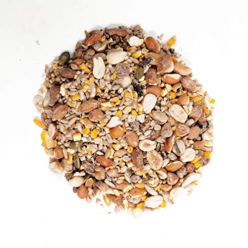 Wagner's 82056 Gourmet Waste Free Wild Bird Food, 5-Pound Bag - style: 1-Pack