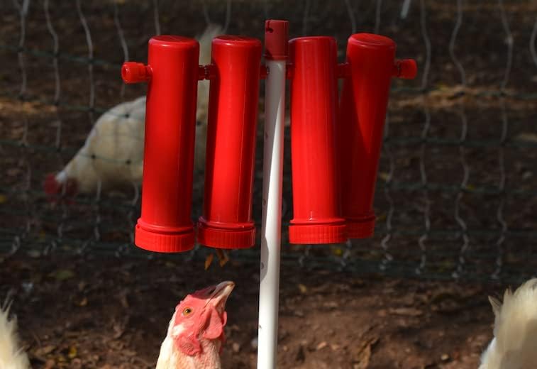 RentACoop Large Chicken Treat Dispenser 2025 Version - size: Large Red Tubes