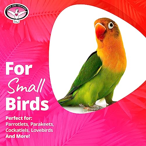 Super Bird Creations SB548 Vine Ring Tweeter Totter Bird Toy, Small Bird Size, 7" x 2.5"