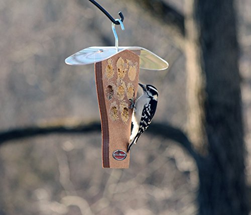Peanut Butter Feeder with Clear Roof (Chocolate) | Clear Roof