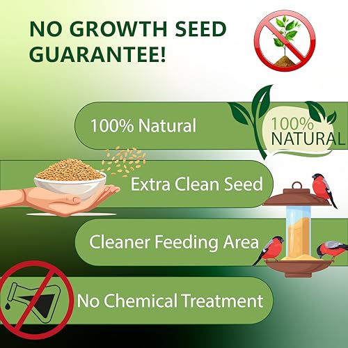 Happy Wings 13Oz Thistle Seed (Nyjer) Bird Food Prefilled Sock, No Grow | Oil Rich, High Fat & Energy Content, Single Grain, USDA & BRC-GS Approved, Finches, Sparrows, Chickadees, Cardinals, No Mess - size: 13 Ounce (Pack of 1)