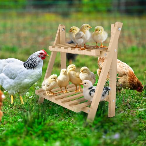 Chicken Perch,Strong Chicken Roosting Bars for Coop and Brooder,Foldable Chick Jungle Gym,Chicken Perch for Coop,Chicken Toys for Coop,Training Perch for Chick,Large Bird,Parrot