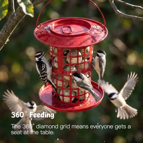 KOL Metal Suet Ball Feeder for Birds – Single-Layer Expandable Design Suet Bird Feeder, Heavy-Duty Wild Bird Feeder with Secure Lid, Large Capacity for Backyard (Red) - color: Red