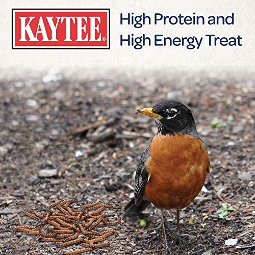 Kaytee Wild Bird Food Mealworms For Bluebirds, Wrens, Robins, Chickadees, Woodpeckers, Cardinals & Chickens, 2 Pound - size: 2 Pound (Pack of 1)
