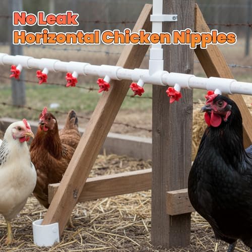 12 pcs Horizontal Chicken Water Nipples with 1/2'' PVC Tee Fittings Mount Poultry Auto Chicken Waterer Nipple Drinker for Ducks Quail and Other Poultry DIY Automatic Waterering System