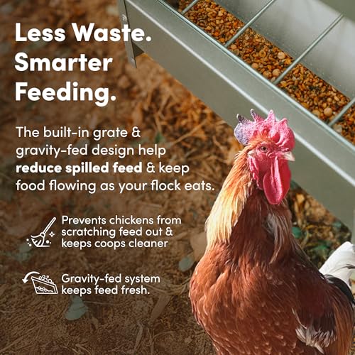 RentACoop 50lb Gravity-Fed Metal Trough Feeder with Lid & Rain Cover - size: 50LB Capacity