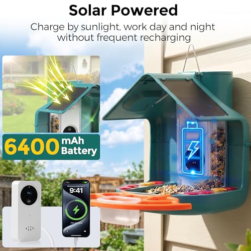 Smart Bird Feeder with Camera, Dual Solar Panel & 2K HD Live Streaming, AI Bird ID + Instant Alert, IP65 Weatherproof for Outdoor Garden Patio, Gift for Bird Lovers