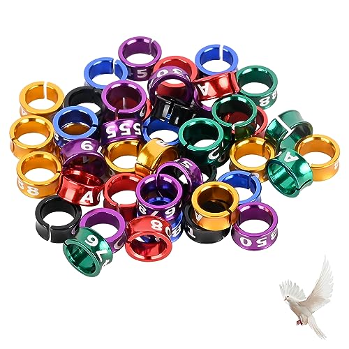 Open Bird Leg Rings - Aluminum ID Rings for Pigeons, Parrots, Doves - Mixed Colors, 50 PCS Per Pack - size: 6