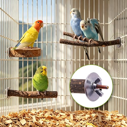 8PCS Bird Perches Set Natural Apple Wood Bird Cage Accessories Wooden Parrot Stand Hardwood Branches for Parakeets, Budgies, Cockatiels Small Bird Habitat Gym, Climbing Stand & Safe Chew Toys
