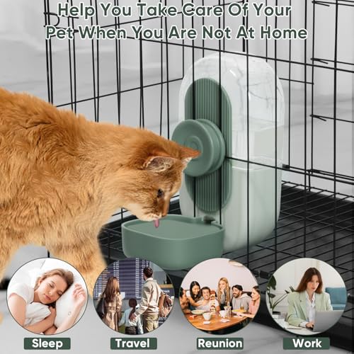 Lemtrflo 28oz Rabbit Water Bottle Dispenser, Bunny Cage Water Bowl | Suitable for Rabbits, Guinea Pigs, Ferrets, and Other Small Pets - color: Green