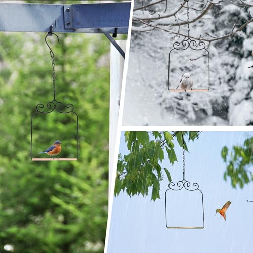 2PK Metal Frame Hummingbird Swings and Perches with Wooden Dowel Black Bird Swing Outdoor Bird Perch Humming Bird Swing (2PK) - style: 2PK