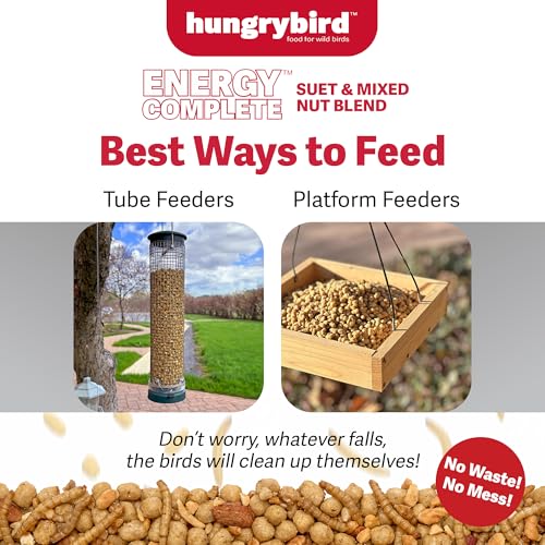 HUNGRYBIRD Energy Complete Diet, 7lb Mealworm Suet & Mixed Nuts | All-Season Feeding, Premium Wild Bird Food, No Waste, No Mess, Attracts a Wide Variety of Wild Birds