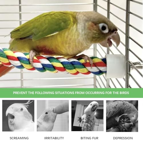Bird Rope Perch - 40CM/15.7inch Colorful Perches Climbing Standing Bungee Rope Perches Chew Toys for Cockatiels Parrots