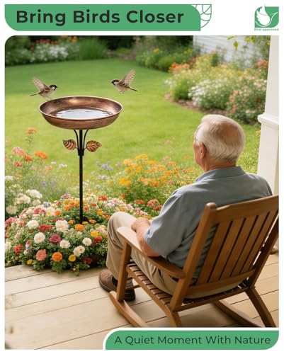 12" Bird Bath for Outside with Stake, Metal Garden Birdbath | 0.7 Gal Capacity, 2" Shallow Bowl, Rust Resistant Metal, Easy Cleaning, Garden Yard Patio Decor