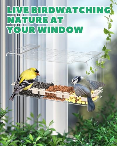 Clear Window Bird Feeder Outdoors - Bird Feeder for Viewing with 5 Perching Stands, Self-Adhesive Hooks, Drain Holes and Removable Tray, as a Birdhouse, Garden Decor - color: Clear