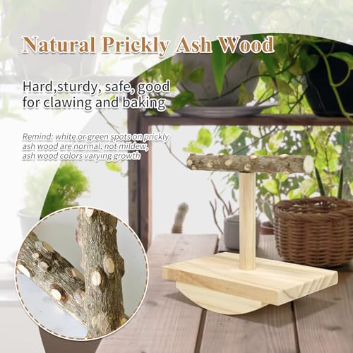 Natural Wood Bird Perch Stand, Rocking Perch for Bird Stand Swing (Small) | Intelligence Puzzle Training Wood Parrot Tumbler Toy,Playstand Birds Accessories for Parakeets,Cockatiels,Budgies,Conures - size: Small