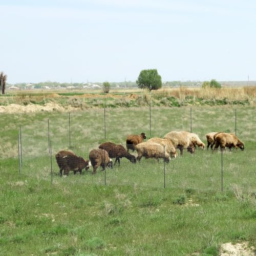 Non Electric Fence Netting 40" x100', Boundary Fence with Double Spiked Posts, Portable Poultry Fence All-Purpose Fencing for Dogs, Chickens, Ducks, Turkeys Suitable in Backyard, Garden, Farm
