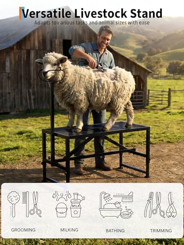 Goat Milking Stand 47x23 inch Heavy-Duty Metal Livestock Stand, 500lbs Capacity, Adjustable Height 21"-37", for Milking/Trimming/Grooming - color: Black, size: 47 inch chain